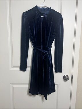 Midnight Velvet Long-Sleeve Belted Dress